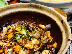 啫啫甲鱼煲-金龙·打边炉(武进路店)