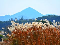 -良渚古城遗址公园
