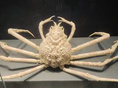 -大连自然博物馆