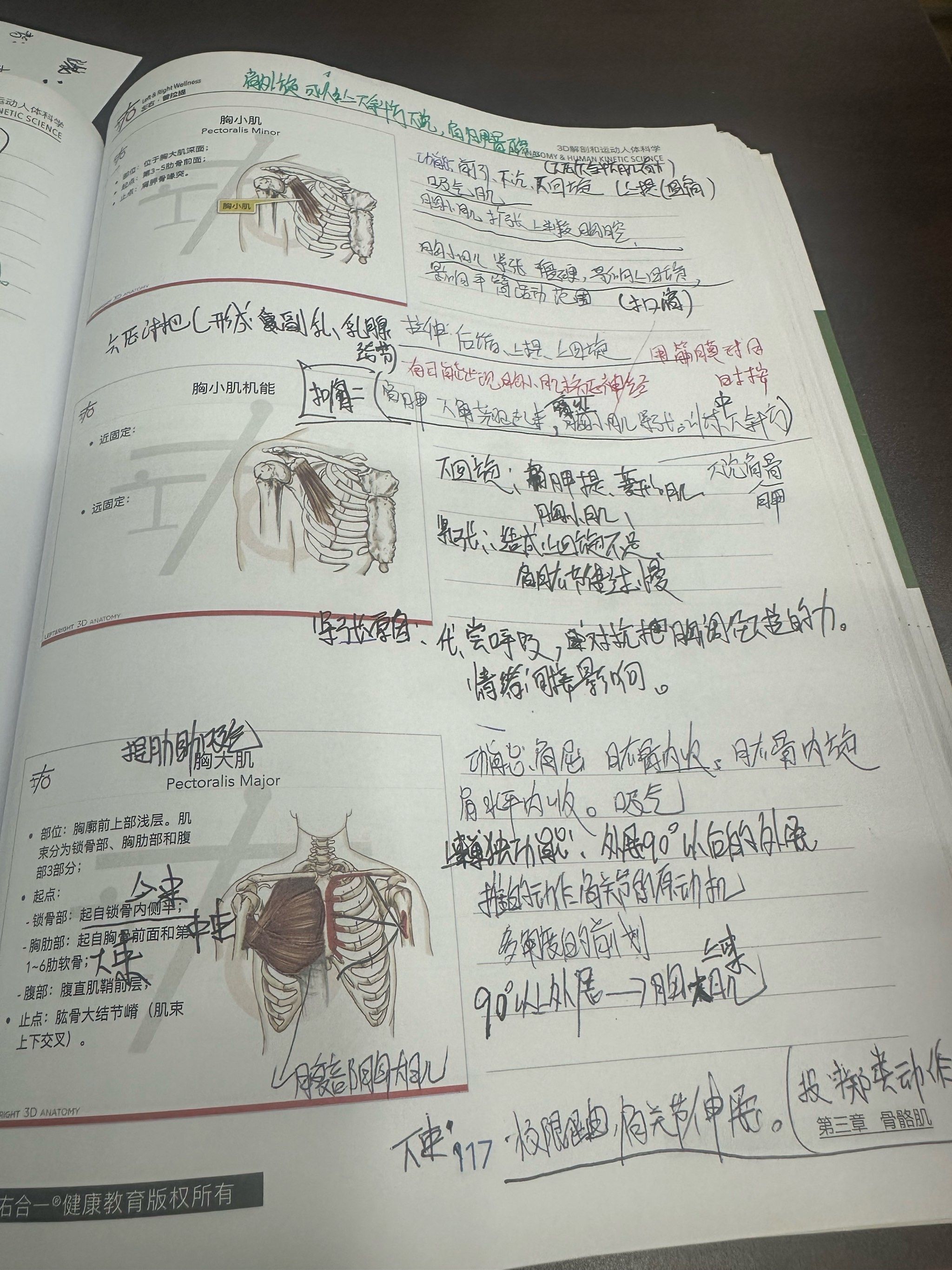 学解剖超有趣