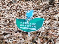 -北京鹫峰国家森林公园