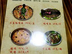 -鸭嘴鱼
