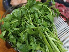 西洋菜-顺记牛肉店