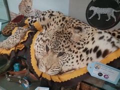 -纽瓦克自由国际机场