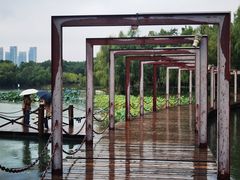 -天鹅湖体育公园