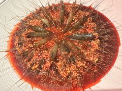 -嘉宴·精致客家菜