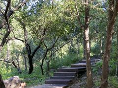 -北京十三陵国家森林公园蟒山景区