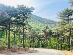 -北京西山国家森林公园