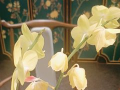 -五岳宫·私房菜