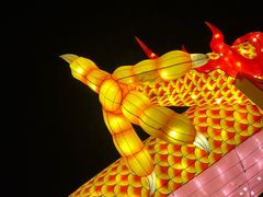 -后海公园