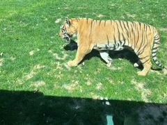 -北京野生动物园