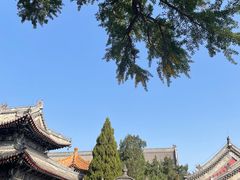 -北京艺术博物馆(万寿寺)