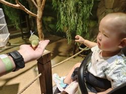 -酷嗒动物文化乐园(cutezoo西溪乐天城店)