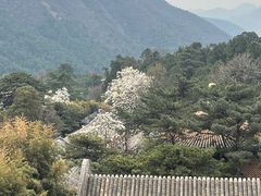 -潭柘寺景区
