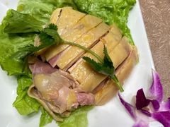 苏北草鸡-瑞福园联谊餐室(茂名南路店)