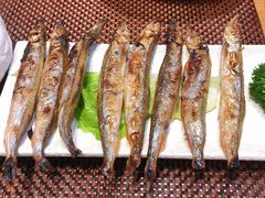 -樱の千渡日式料理·铁板烧•烧鸟(金盛田广场店)