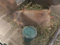 -瑞虹新天地月亮湾
