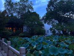 -杭州西子湖四季酒店·金沙厅