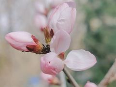 -朝阳公园
