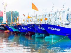 -沈家门渔港