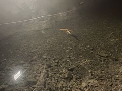 -洞穴餐厅