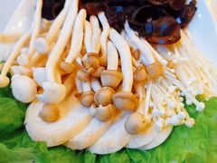 -东来顺饭庄(天坛店)