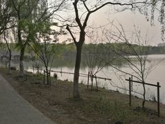 -昆山城市生态森林公园