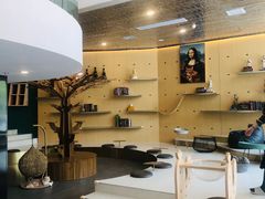-飞行喵MR PILOT|猫舍·猫咖(静安大融城店)