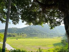 -风云岭森林公园