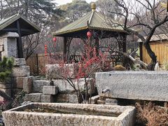 -无锡梅园公园