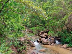 -广州白江湖森林公园