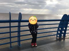 -瀛洲公园