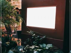 -二酉书店TOYOU BOOKS