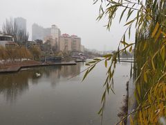 -雁滩公园