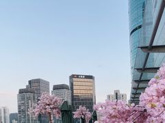 -城市露台景观餐厅(淮海路店)