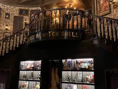 -雪灵魔法世界SHELLY’S TAROT(大良桂畔里店)