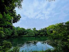 -龙坞茶村