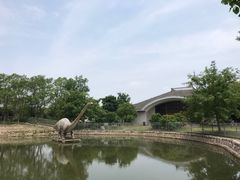 -上海海湾国家森林公园