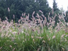 -汉长安城未央宫国家考古遗址公园