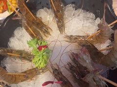 -捞围鲜·港式打边炉(海阳路店)