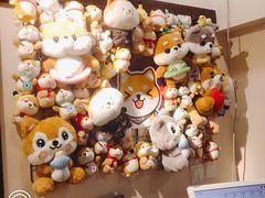 -逗柴咖啡屋·狗咖猫咖宠物桌游