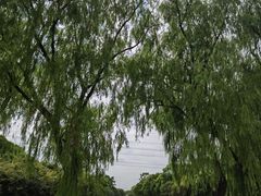 -嘉北郊野公园