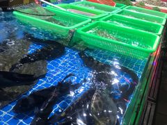 -都斛海鲜街