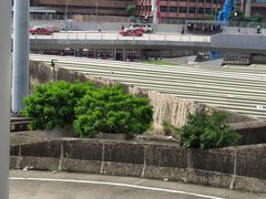 -香港理工大学