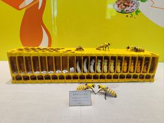 -广东中医药博物馆