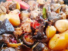 -蜀宴新村·柴火鸡(柏水店)