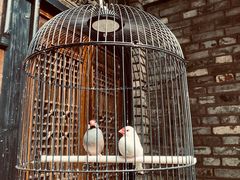 -鱼桥巷·美学川菜