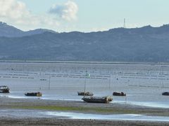 -北岐滩涂