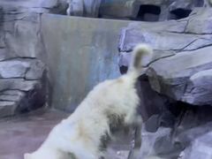 -多彩贵州城极地海洋世界