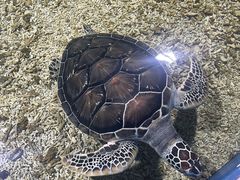 -顺德南宏海立方海洋公园